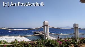 [P13] Sunrise Arabian Beach Resort -  » foto by elenaadina
 - 
<span class="allrVoted glyphicon glyphicon-heart hidden" id="av1402753"></span>
<a class="m-l-10 hidden" id="sv1402753" onclick="voting_Foto_DelVot(,1402753,27302)" role="button">șterge vot <span class="glyphicon glyphicon-remove"></span></a>
<a id="v91402753" class=" c-red"  onclick="voting_Foto_SetVot(1402753)" role="button"><span class="glyphicon glyphicon-heart-empty"></span> <b>LIKE</b> = Votează poza</a> <img class="hidden"  id="f1402753W9" src="/imagini/loader.gif" border="0" /><span class="AjErrMes hidden" id="e1402753ErM"></span>