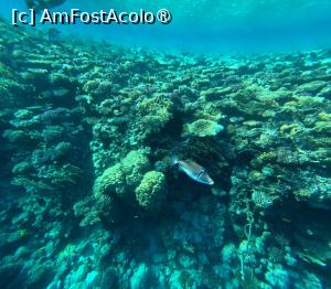 [P21]  -- <small>// FĂRĂ DESCRIERE</small> » foto by elenaadina
 - 
<span class="allrVoted glyphicon glyphicon-heart hidden" id="av1402761"></span>
<a class="m-l-10 hidden" id="sv1402761" onclick="voting_Foto_DelVot(,1402761,27302)" role="button">șterge vot <span class="glyphicon glyphicon-remove"></span></a>
<a id="v91402761" class=" c-red"  onclick="voting_Foto_SetVot(1402761)" role="button"><span class="glyphicon glyphicon-heart-empty"></span> <b>LIKE</b> = Votează poza</a> <img class="hidden"  id="f1402761W9" src="/imagini/loader.gif" border="0" /><span class="AjErrMes hidden" id="e1402761ErM"></span>