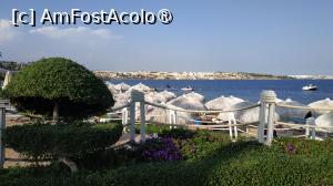 [P24] Sunrise Arabian Beach Resort -  » foto by elenaadina
 - 
<span class="allrVoted glyphicon glyphicon-heart hidden" id="av1402764"></span>
<a class="m-l-10 hidden" id="sv1402764" onclick="voting_Foto_DelVot(,1402764,27302)" role="button">șterge vot <span class="glyphicon glyphicon-remove"></span></a>
<a id="v91402764" class=" c-red"  onclick="voting_Foto_SetVot(1402764)" role="button"><span class="glyphicon glyphicon-heart-empty"></span> <b>LIKE</b> = Votează poza</a> <img class="hidden"  id="f1402764W9" src="/imagini/loader.gif" border="0" /><span class="AjErrMes hidden" id="e1402764ErM"></span>