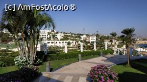 [P27]  -- <small>// FĂRĂ DESCRIERE</small> » foto by elenaadina
 - 
<span class="allrVoted glyphicon glyphicon-heart hidden" id="av1402767"></span>
<a class="m-l-10 hidden" id="sv1402767" onclick="voting_Foto_DelVot(,1402767,27302)" role="button">șterge vot <span class="glyphicon glyphicon-remove"></span></a>
<a id="v91402767" class=" c-red"  onclick="voting_Foto_SetVot(1402767)" role="button"><span class="glyphicon glyphicon-heart-empty"></span> <b>LIKE</b> = Votează poza</a> <img class="hidden"  id="f1402767W9" src="/imagini/loader.gif" border="0" /><span class="AjErrMes hidden" id="e1402767ErM"></span>