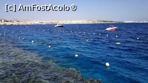 [P34]  -- <small>// FĂRĂ DESCRIERE</small> » foto by elenaadina
 - 
<span class="allrVoted glyphicon glyphicon-heart hidden" id="av1402774"></span>
<a class="m-l-10 hidden" id="sv1402774" onclick="voting_Foto_DelVot(,1402774,27302)" role="button">șterge vot <span class="glyphicon glyphicon-remove"></span></a>
<a id="v91402774" class=" c-red"  onclick="voting_Foto_SetVot(1402774)" role="button"><span class="glyphicon glyphicon-heart-empty"></span> <b>LIKE</b> = Votează poza</a> <img class="hidden"  id="f1402774W9" src="/imagini/loader.gif" border="0" /><span class="AjErrMes hidden" id="e1402774ErM"></span>