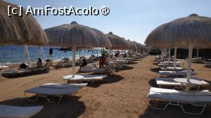 [P45]  -- <small>// FĂRĂ DESCRIERE</small> » foto by elenaadina
 - 
<span class="allrVoted glyphicon glyphicon-heart hidden" id="av1402785"></span>
<a class="m-l-10 hidden" id="sv1402785" onclick="voting_Foto_DelVot(,1402785,27302)" role="button">șterge vot <span class="glyphicon glyphicon-remove"></span></a>
<a id="v91402785" class=" c-red"  onclick="voting_Foto_SetVot(1402785)" role="button"><span class="glyphicon glyphicon-heart-empty"></span> <b>LIKE</b> = Votează poza</a> <img class="hidden"  id="f1402785W9" src="/imagini/loader.gif" border="0" /><span class="AjErrMes hidden" id="e1402785ErM"></span>