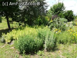 [P13] Gradina Botanica Bucov » foto by ⭐ValentinB_88⭐
 - 
<span class="allrVoted glyphicon glyphicon-heart hidden" id="av1210187"></span>
<a class="m-l-10 hidden" id="sv1210187" onclick="voting_Foto_DelVot(,1210187,27337)" role="button">șterge vot <span class="glyphicon glyphicon-remove"></span></a>
<a id="v91210187" class=" c-red"  onclick="voting_Foto_SetVot(1210187)" role="button"><span class="glyphicon glyphicon-heart-empty"></span> <b>LIKE</b> = Votează poza</a> <img class="hidden"  id="f1210187W9" src="/imagini/loader.gif" border="0" /><span class="AjErrMes hidden" id="e1210187ErM"></span>