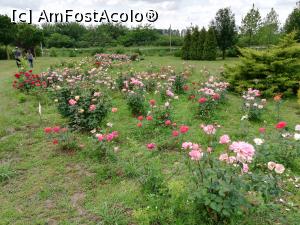 [P16] Gradina Botanica Bucov » foto by ⭐ValentinB_88⭐
 - 
<span class="allrVoted glyphicon glyphicon-heart hidden" id="av1210190"></span>
<a class="m-l-10 hidden" id="sv1210190" onclick="voting_Foto_DelVot(,1210190,27337)" role="button">șterge vot <span class="glyphicon glyphicon-remove"></span></a>
<a id="v91210190" class=" c-red"  onclick="voting_Foto_SetVot(1210190)" role="button"><span class="glyphicon glyphicon-heart-empty"></span> <b>LIKE</b> = Votează poza</a> <img class="hidden"  id="f1210190W9" src="/imagini/loader.gif" border="0" /><span class="AjErrMes hidden" id="e1210190ErM"></span>