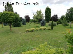 [P03] Gradina Botanica Bucov » foto by ⭐ValentinB_88⭐
 - 
<span class="allrVoted glyphicon glyphicon-heart hidden" id="av1210177"></span>
<a class="m-l-10 hidden" id="sv1210177" onclick="voting_Foto_DelVot(,1210177,27337)" role="button">șterge vot <span class="glyphicon glyphicon-remove"></span></a>
<a id="v91210177" class=" c-red"  onclick="voting_Foto_SetVot(1210177)" role="button"><span class="glyphicon glyphicon-heart-empty"></span> <b>LIKE</b> = Votează poza</a> <img class="hidden"  id="f1210177W9" src="/imagini/loader.gif" border="0" /><span class="AjErrMes hidden" id="e1210177ErM"></span>