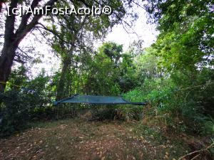 [P81] &Icirc;n curtea complexului » foto by cata2106
 - 
<span class="allrVoted glyphicon glyphicon-heart hidden" id="av1287847"></span>
<a class="m-l-10 hidden" id="sv1287847" onclick="voting_Foto_DelVot(,1287847,27399)" role="button">șterge vot <span class="glyphicon glyphicon-remove"></span></a>
<a id="v91287847" class=" c-red"  onclick="voting_Foto_SetVot(1287847)" role="button"><span class="glyphicon glyphicon-heart-empty"></span> <b>LIKE</b> = Votează poza</a> <img class="hidden"  id="f1287847W9" src="/imagini/loader.gif" border="0" /><span class="AjErrMes hidden" id="e1287847ErM"></span>