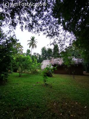 [P82] &Icirc;n curtea complexului » foto by cata2106
 - 
<span class="allrVoted glyphicon glyphicon-heart hidden" id="av1287848"></span>
<a class="m-l-10 hidden" id="sv1287848" onclick="voting_Foto_DelVot(,1287848,27399)" role="button">șterge vot <span class="glyphicon glyphicon-remove"></span></a>
<a id="v91287848" class=" c-red"  onclick="voting_Foto_SetVot(1287848)" role="button"><span class="glyphicon glyphicon-heart-empty"></span> <b>LIKE</b> = Votează poza</a> <img class="hidden"  id="f1287848W9" src="/imagini/loader.gif" border="0" /><span class="AjErrMes hidden" id="e1287848ErM"></span>