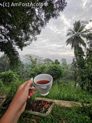 [P35] Un ceai cu vedere în curte » foto by cata2106
 - 
<span class="allrVoted glyphicon glyphicon-heart hidden" id="av1294438"></span>
<a class="m-l-10 hidden" id="sv1294438" onclick="voting_Foto_DelVot(,1294438,27442)" role="button">șterge vot <span class="glyphicon glyphicon-remove"></span></a>
<a id="v91294438" class=" c-red"  onclick="voting_Foto_SetVot(1294438)" role="button"><span class="glyphicon glyphicon-heart-empty"></span> <b>LIKE</b> = Votează poza</a> <img class="hidden"  id="f1294438W9" src="/imagini/loader.gif" border="0" /><span class="AjErrMes hidden" id="e1294438ErM"></span>