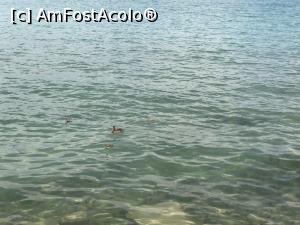 [P25] Sirmione - si acum putem admira imprejurimile - ratuste la plimbare » foto by mishu
 - 
<span class="allrVoted glyphicon glyphicon-heart hidden" id="av1296580"></span>
<a class="m-l-10 hidden" id="sv1296580" onclick="voting_Foto_DelVot(,1296580,27463)" role="button">șterge vot <span class="glyphicon glyphicon-remove"></span></a>
<a id="v91296580" class=" c-red"  onclick="voting_Foto_SetVot(1296580)" role="button"><span class="glyphicon glyphicon-heart-empty"></span> <b>LIKE</b> = Votează poza</a> <img class="hidden"  id="f1296580W9" src="/imagini/loader.gif" border="0" /><span class="AjErrMes hidden" id="e1296580ErM"></span>