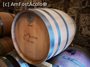 [P44] Degustare de vin Apogeum » foto by crismis
 - 
<span class="allrVoted glyphicon glyphicon-heart hidden" id="av1297661"></span>
<a class="m-l-10 hidden" id="sv1297661" onclick="voting_Foto_DelVot(,1297661,27472)" role="button">șterge vot <span class="glyphicon glyphicon-remove"></span></a>
<a id="v91297661" class=" c-red"  onclick="voting_Foto_SetVot(1297661)" role="button"><span class="glyphicon glyphicon-heart-empty"></span> <b>LIKE</b> = Votează poza</a> <img class="hidden"  id="f1297661W9" src="/imagini/loader.gif" border="0" /><span class="AjErrMes hidden" id="e1297661ErM"></span>