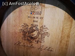 [P58] Degustare de vin Mierla Albă » foto by crismis
 - 
<span class="allrVoted glyphicon glyphicon-heart hidden" id="av1297675"></span>
<a class="m-l-10 hidden" id="sv1297675" onclick="voting_Foto_DelVot(,1297675,27472)" role="button">șterge vot <span class="glyphicon glyphicon-remove"></span></a>
<a id="v91297675" class=" c-red"  onclick="voting_Foto_SetVot(1297675)" role="button"><span class="glyphicon glyphicon-heart-empty"></span> <b>LIKE</b> = Votează poza</a> <img class="hidden"  id="f1297675W9" src="/imagini/loader.gif" border="0" /><span class="AjErrMes hidden" id="e1297675ErM"></span>