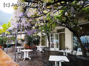 [P56] Ristorante del Porto » foto by crismis
 - 
<span class="allrVoted glyphicon glyphicon-heart hidden" id="av1309366"></span>
<a class="m-l-10 hidden" id="sv1309366" onclick="voting_Foto_DelVot(,1309366,27565)" role="button">șterge vot <span class="glyphicon glyphicon-remove"></span></a>
<a id="v91309366" class=" c-red"  onclick="voting_Foto_SetVot(1309366)" role="button"><span class="glyphicon glyphicon-heart-empty"></span> <b>LIKE</b> = Votează poza</a> <img class="hidden"  id="f1309366W9" src="/imagini/loader.gif" border="0" /><span class="AjErrMes hidden" id="e1309366ErM"></span>