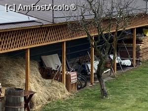 [P80] Pensiunea Melania Chiojdu - prin curte » foto by nicole33
 - 
<span class="allrVoted glyphicon glyphicon-heart hidden" id="av1511545"></span>
<a class="m-l-10 hidden" id="sv1511545" onclick="voting_Foto_DelVot(,1511545,27780)" role="button">șterge vot <span class="glyphicon glyphicon-remove"></span></a>
<a id="v91511545" class=" c-red"  onclick="voting_Foto_SetVot(1511545)" role="button"><span class="glyphicon glyphicon-heart-empty"></span> <b>LIKE</b> = Votează poza</a> <img class="hidden"  id="f1511545W9" src="/imagini/loader.gif" border="0" /><span class="AjErrMes hidden" id="e1511545ErM"></span>