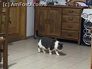 [P84] Pensiunea Melania Chiojdu - prietenul meu » foto by nicole33
 - 
<span class="allrVoted glyphicon glyphicon-heart hidden" id="av1511549"></span>
<a class="m-l-10 hidden" id="sv1511549" onclick="voting_Foto_DelVot(,1511549,27780)" role="button">șterge vot <span class="glyphicon glyphicon-remove"></span></a>
<a id="v91511549" class=" c-red"  onclick="voting_Foto_SetVot(1511549)" role="button"><span class="glyphicon glyphicon-heart-empty"></span> <b>LIKE</b> = Votează poza</a> <img class="hidden"  id="f1511549W9" src="/imagini/loader.gif" border="0" /><span class="AjErrMes hidden" id="e1511549ErM"></span>