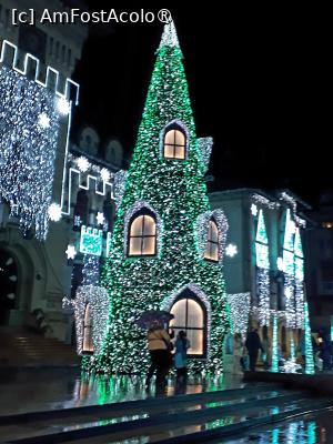 P01 [NOV-2023] Targul de Craciun Craiova. Bradul din Piata Mihai Viteazul.