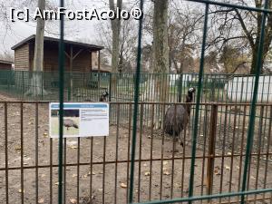 [P12] Parcul Nicolae Romanescu - Gradina Zoologica » foto by mishu
 - 
<span class="allrVoted glyphicon glyphicon-heart hidden" id="av1341775"></span>
<a class="m-l-10 hidden" id="sv1341775" onclick="voting_Foto_DelVot(,1341775,27821)" role="button">șterge vot <span class="glyphicon glyphicon-remove"></span></a>
<a id="v91341775" class=" c-red"  onclick="voting_Foto_SetVot(1341775)" role="button"><span class="glyphicon glyphicon-heart-empty"></span> <b>LIKE</b> = Votează poza</a> <img class="hidden"  id="f1341775W9" src="/imagini/loader.gif" border="0" /><span class="AjErrMes hidden" id="e1341775ErM"></span>