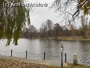 [P45] Parcul Nicolae Romanescu - lacul » foto by mishu
 - 
<span class="allrVoted glyphicon glyphicon-heart hidden" id="av1341808"></span>
<a class="m-l-10 hidden" id="sv1341808" onclick="voting_Foto_DelVot(,1341808,27821)" role="button">șterge vot <span class="glyphicon glyphicon-remove"></span></a>
<a id="v91341808" class=" c-red"  onclick="voting_Foto_SetVot(1341808)" role="button"><span class="glyphicon glyphicon-heart-empty"></span> <b>LIKE</b> = Votează poza</a> <img class="hidden"  id="f1341808W9" src="/imagini/loader.gif" border="0" /><span class="AjErrMes hidden" id="e1341808ErM"></span>