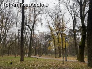 [P06] Parcul Nicolae Romanescu - pe aleile parcului » foto by mishu
 - 
<span class="allrVoted glyphicon glyphicon-heart hidden" id="av1341769"></span>
<a class="m-l-10 hidden" id="sv1341769" onclick="voting_Foto_DelVot(,1341769,27821)" role="button">șterge vot <span class="glyphicon glyphicon-remove"></span></a>
<a id="v91341769" class=" c-red"  onclick="voting_Foto_SetVot(1341769)" role="button"><span class="glyphicon glyphicon-heart-empty"></span> <b>LIKE</b> = Votează poza</a> <img class="hidden"  id="f1341769W9" src="/imagini/loader.gif" border="0" /><span class="AjErrMes hidden" id="e1341769ErM"></span>