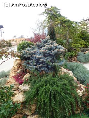 [P24] Casa di Fiore SPA & Medical Hotel - exterior » foto by Dragoș_MD
 - 
<span class="allrVoted glyphicon glyphicon-heart hidden" id="av1360746"></span>
<a class="m-l-10 hidden" id="sv1360746" onclick="voting_Foto_DelVot(,1360746,27826)" role="button">șterge vot <span class="glyphicon glyphicon-remove"></span></a>
<a id="v91360746" class=" c-red"  onclick="voting_Foto_SetVot(1360746)" role="button"><span class="glyphicon glyphicon-heart-empty"></span> <b>LIKE</b> = Votează poza</a> <img class="hidden"  id="f1360746W9" src="/imagini/loader.gif" border="0" /><span class="AjErrMes hidden" id="e1360746ErM"></span>