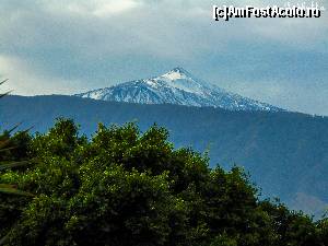 [P02] Muntele Teide vazut din Parque Taoro » foto by GabrielaG
 - 
<span class="allrVoted glyphicon glyphicon-heart hidden" id="av589096"></span>
<a class="m-l-10 hidden" id="sv589096" onclick="voting_Foto_DelVot(,589096,27840)" role="button">șterge vot <span class="glyphicon glyphicon-remove"></span></a>
<a id="v9589096" class=" c-red"  onclick="voting_Foto_SetVot(589096)" role="button"><span class="glyphicon glyphicon-heart-empty"></span> <b>LIKE</b> = Votează poza</a> <img class="hidden"  id="f589096W9" src="/imagini/loader.gif" border="0" /><span class="AjErrMes hidden" id="e589096ErM"></span>