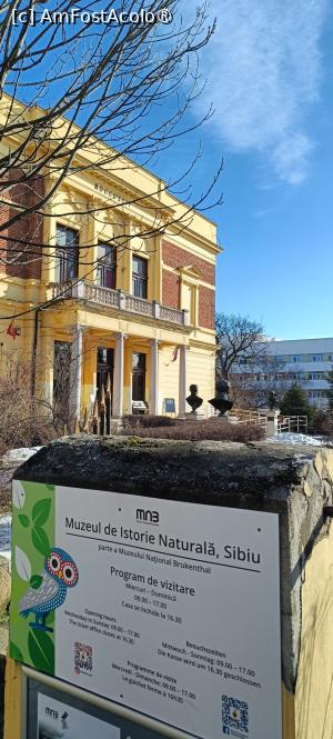 [P02] Muzeul de Istorie Naturală din Sibiu  - clădire inaugurată în anul 1895; se observă busturile din curte. » foto by tata123 🔱
 - 
<span class="allrVoted glyphicon glyphicon-heart hidden" id="av1517795"></span>
<a class="m-l-10 hidden" id="sv1517795" onclick="voting_Foto_DelVot(,1517795,27913)" role="button">șterge vot <span class="glyphicon glyphicon-remove"></span></a>
<a id="v91517795" class=" c-red"  onclick="voting_Foto_SetVot(1517795)" role="button"><span class="glyphicon glyphicon-heart-empty"></span> <b>LIKE</b> = Votează poza</a> <img class="hidden"  id="f1517795W9" src="/imagini/loader.gif" border="0" /><span class="AjErrMes hidden" id="e1517795ErM"></span>