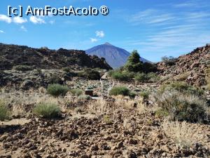 [P19] El Teide văzut din grădina botanică » foto by Marius 72
 - 
<span class="allrVoted glyphicon glyphicon-heart hidden" id="av1410401"></span>
<a class="m-l-10 hidden" id="sv1410401" onclick="voting_Foto_DelVot(,1410401,28122)" role="button">șterge vot <span class="glyphicon glyphicon-remove"></span></a>
<a id="v91410401" class=" c-red"  onclick="voting_Foto_SetVot(1410401)" role="button"><span class="glyphicon glyphicon-heart-empty"></span> <b>LIKE</b> = Votează poza</a> <img class="hidden"  id="f1410401W9" src="/imagini/loader.gif" border="0" /><span class="AjErrMes hidden" id="e1410401ErM"></span>