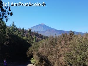 [P23] El Teide » foto by Marius 72
 - 
<span class="allrVoted glyphicon glyphicon-heart hidden" id="av1410405"></span>
<a class="m-l-10 hidden" id="sv1410405" onclick="voting_Foto_DelVot(,1410405,28122)" role="button">șterge vot <span class="glyphicon glyphicon-remove"></span></a>
<a id="v91410405" class=" c-red"  onclick="voting_Foto_SetVot(1410405)" role="button"><span class="glyphicon glyphicon-heart-empty"></span> <b>LIKE</b> = Votează poza</a> <img class="hidden"  id="f1410405W9" src="/imagini/loader.gif" border="0" /><span class="AjErrMes hidden" id="e1410405ErM"></span>