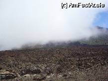 [P12] Parcul National Teide » foto by pink_gabi*
 - 
<span class="allrVoted glyphicon glyphicon-heart hidden" id="av75095"></span>
<a class="m-l-10 hidden" id="sv75095" onclick="voting_Foto_DelVot(,75095,28122)" role="button">șterge vot <span class="glyphicon glyphicon-remove"></span></a>
<a id="v975095" class=" c-red"  onclick="voting_Foto_SetVot(75095)" role="button"><span class="glyphicon glyphicon-heart-empty"></span> <b>LIKE</b> = Votează poza</a> <img class="hidden"  id="f75095W9" src="/imagini/loader.gif" border="0" /><span class="AjErrMes hidden" id="e75095ErM"></span>