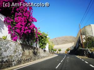 [P07] În drum spre Masca, între bougainvillea și plantații de banane » foto by crismis
 - 
<span class="allrVoted glyphicon glyphicon-heart hidden" id="av1158341"></span>
<a class="m-l-10 hidden" id="sv1158341" onclick="voting_Foto_DelVot(,1158341,28123)" role="button">șterge vot <span class="glyphicon glyphicon-remove"></span></a>
<a id="v91158341" class=" c-red"  onclick="voting_Foto_SetVot(1158341)" role="button"><span class="glyphicon glyphicon-heart-empty"></span> <b>LIKE</b> = Votează poza</a> <img class="hidden"  id="f1158341W9" src="/imagini/loader.gif" border="0" /><span class="AjErrMes hidden" id="e1158341ErM"></span>