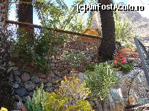 [P06] Plantele cresc peste tot, la tot pasul este plin de cactusi si flori colorate. » foto by pink_gabi*
 - 
<span class="allrVoted glyphicon glyphicon-heart hidden" id="av82887"></span>
<a class="m-l-10 hidden" id="sv82887" onclick="voting_Foto_DelVot(,82887,28123)" role="button">șterge vot <span class="glyphicon glyphicon-remove"></span></a>
<a id="v982887" class=" c-red"  onclick="voting_Foto_SetVot(82887)" role="button"><span class="glyphicon glyphicon-heart-empty"></span> <b>LIKE</b> = Votează poza</a> <img class="hidden"  id="f82887W9" src="/imagini/loader.gif" border="0" /><span class="AjErrMes hidden" id="e82887ErM"></span>