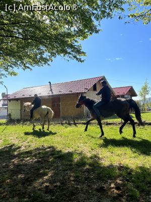 [P52] Oamenii locului își chemau caii acasă, animalele erau libere, circulau pe lângă camping » foto by krisstinna
 - 
<span class="allrVoted glyphicon glyphicon-heart hidden" id="av1391502"></span>
<a class="m-l-10 hidden" id="sv1391502" onclick="voting_Foto_DelVot(,1391502,28269)" role="button">șterge vot <span class="glyphicon glyphicon-remove"></span></a>
<a id="v91391502" class=" c-red"  onclick="voting_Foto_SetVot(1391502)" role="button"><span class="glyphicon glyphicon-heart-empty"></span> <b>LIKE</b> = Votează poza</a> <img class="hidden"  id="f1391502W9" src="/imagini/loader.gif" border="0" /><span class="AjErrMes hidden" id="e1391502ErM"></span>