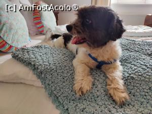 [P14] Boutique Hotel Le Baron - camera 3 :) » foto by crismis
 - 
<span class="allrVoted glyphicon glyphicon-heart hidden" id="av1397763"></span>
<a class="m-l-10 hidden" id="sv1397763" onclick="voting_Foto_DelVot(,1397763,28321)" role="button">șterge vot <span class="glyphicon glyphicon-remove"></span></a>
<a id="v91397763" class=" c-red"  onclick="voting_Foto_SetVot(1397763)" role="button"><span class="glyphicon glyphicon-heart-empty"></span> <b>LIKE</b> = Votează poza</a> <img class="hidden"  id="f1397763W9" src="/imagini/loader.gif" border="0" /><span class="AjErrMes hidden" id="e1397763ErM"></span>