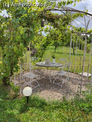 [P30] Boutique Hotel Le Baron - o pergolă &icirc;n livadă » foto by crismis
 - 
<span class="allrVoted glyphicon glyphicon-heart hidden" id="av1397779"></span>
<a class="m-l-10 hidden" id="sv1397779" onclick="voting_Foto_DelVot(,1397779,28321)" role="button">șterge vot <span class="glyphicon glyphicon-remove"></span></a>
<a id="v91397779" class=" c-red"  onclick="voting_Foto_SetVot(1397779)" role="button"><span class="glyphicon glyphicon-heart-empty"></span> <b>LIKE</b> = Votează poza</a> <img class="hidden"  id="f1397779W9" src="/imagini/loader.gif" border="0" /><span class="AjErrMes hidden" id="e1397779ErM"></span>