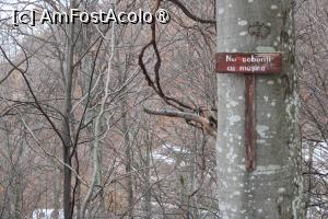 [P17] Drumul Mănăstirii Jgheaburi, Atenționare pentru șoferi » foto by mprofeanu
 - 
<span class="allrVoted glyphicon glyphicon-heart hidden" id="av1404039"></span>
<a class="m-l-10 hidden" id="sv1404039" onclick="voting_Foto_DelVot(,1404039,28367)" role="button">șterge vot <span class="glyphicon glyphicon-remove"></span></a>
<a id="v91404039" class=" c-red"  onclick="voting_Foto_SetVot(1404039)" role="button"><span class="glyphicon glyphicon-heart-empty"></span> <b>LIKE</b> = Votează poza</a> <img class="hidden"  id="f1404039W9" src="/imagini/loader.gif" border="0" /><span class="AjErrMes hidden" id="e1404039ErM"></span>