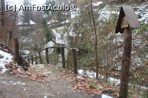 [P24] Coborâm pe poteca cu balustradă la Mănăstirea Jgheaburi » foto by mprofeanu
 - 
<span class="allrVoted glyphicon glyphicon-heart hidden" id="av1404046"></span>
<a class="m-l-10 hidden" id="sv1404046" onclick="voting_Foto_DelVot(,1404046,28367)" role="button">șterge vot <span class="glyphicon glyphicon-remove"></span></a>
<a id="v91404046" class=" c-red"  onclick="voting_Foto_SetVot(1404046)" role="button"><span class="glyphicon glyphicon-heart-empty"></span> <b>LIKE</b> = Votează poza</a> <img class="hidden"  id="f1404046W9" src="/imagini/loader.gif" border="0" /><span class="AjErrMes hidden" id="e1404046ErM"></span>