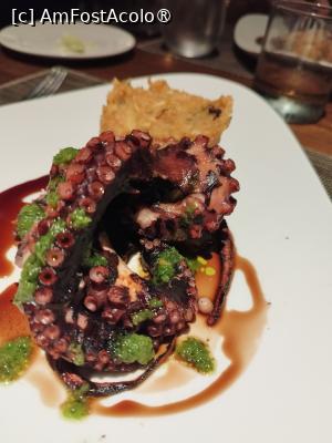 [P16] Restaurant el asador.Octopus Griled » foto by denisucu
 - 
<span class="allrVoted glyphicon glyphicon-heart hidden" id="av1429640"></span>
<a class="m-l-10 hidden" id="sv1429640" onclick="voting_Foto_DelVot(,1429640,28566)" role="button">șterge vot <span class="glyphicon glyphicon-remove"></span></a>
<a id="v91429640" class=" c-red"  onclick="voting_Foto_SetVot(1429640)" role="button"><span class="glyphicon glyphicon-heart-empty"></span> <b>LIKE</b> = Votează poza</a> <img class="hidden"  id="f1429640W9" src="/imagini/loader.gif" border="0" /><span class="AjErrMes hidden" id="e1429640ErM"></span>