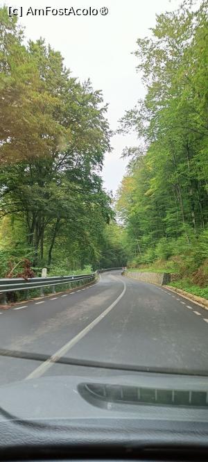 [P20] Coborâm spre Aiud prin Pădurea Sloboda. » foto by tata123 🔱
 - 
<span class="allrVoted glyphicon glyphicon-heart hidden" id="av1499291"></span>
<a class="m-l-10 hidden" id="sv1499291" onclick="voting_Foto_DelVot(,1499291,28685)" role="button">șterge vot <span class="glyphicon glyphicon-remove"></span></a>
<a id="v91499291" class=" c-red"  onclick="voting_Foto_SetVot(1499291)" role="button"><span class="glyphicon glyphicon-heart-empty"></span> <b>LIKE</b> = Votează poza</a> <img class="hidden"  id="f1499291W9" src="/imagini/loader.gif" border="0" /><span class="AjErrMes hidden" id="e1499291ErM"></span>
