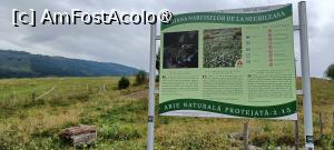 [P04] Suntem în zona Poienii cu Narcise de la Negrileasa. » foto by tata123 🔱
 - 
<span class="allrVoted glyphicon glyphicon-heart hidden" id="av1499275"></span>
<a class="m-l-10 hidden" id="sv1499275" onclick="voting_Foto_DelVot(,1499275,28685)" role="button">șterge vot <span class="glyphicon glyphicon-remove"></span></a>
<a id="v91499275" class=" c-red"  onclick="voting_Foto_SetVot(1499275)" role="button"><span class="glyphicon glyphicon-heart-empty"></span> <b>LIKE</b> = Votează poza</a> <img class="hidden"  id="f1499275W9" src="/imagini/loader.gif" border="0" /><span class="AjErrMes hidden" id="e1499275ErM"></span>