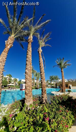 [P13]  -- <small>// FĂRĂ DESCRIERE</small> » foto by CHRISTIANA05
 - 
<span class="allrVoted glyphicon glyphicon-heart hidden" id="av1450061"></span>
<a class="m-l-10 hidden" id="sv1450061" onclick="voting_Foto_DelVot(,1450061,28746)" role="button">șterge vot <span class="glyphicon glyphicon-remove"></span></a>
<a id="v91450061" class=" c-red"  onclick="voting_Foto_SetVot(1450061)" role="button"><span class="glyphicon glyphicon-heart-empty"></span> <b>LIKE</b> = Votează poza</a> <img class="hidden"  id="f1450061W9" src="/imagini/loader.gif" border="0" /><span class="AjErrMes hidden" id="e1450061ErM"></span>