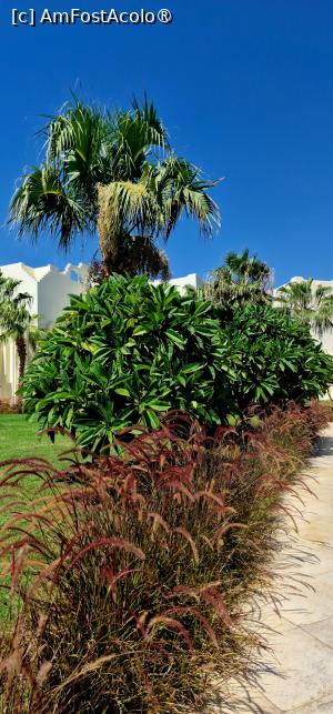 [P14]  -- <small>// FĂRĂ DESCRIERE</small> » foto by CHRISTIANA05
 - 
<span class="allrVoted glyphicon glyphicon-heart hidden" id="av1450062"></span>
<a class="m-l-10 hidden" id="sv1450062" onclick="voting_Foto_DelVot(,1450062,28746)" role="button">șterge vot <span class="glyphicon glyphicon-remove"></span></a>
<a id="v91450062" class=" c-red"  onclick="voting_Foto_SetVot(1450062)" role="button"><span class="glyphicon glyphicon-heart-empty"></span> <b>LIKE</b> = Votează poza</a> <img class="hidden"  id="f1450062W9" src="/imagini/loader.gif" border="0" /><span class="AjErrMes hidden" id="e1450062ErM"></span>