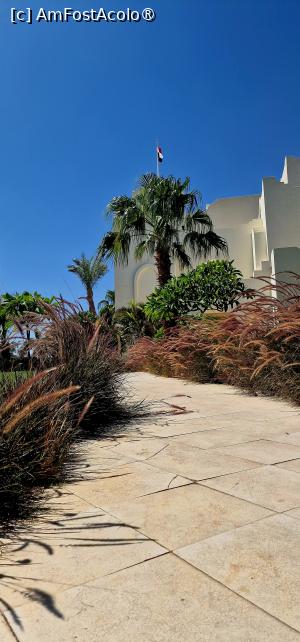 [P15]  -- <small>// FĂRĂ DESCRIERE</small> » foto by CHRISTIANA05
 - 
<span class="allrVoted glyphicon glyphicon-heart hidden" id="av1450063"></span>
<a class="m-l-10 hidden" id="sv1450063" onclick="voting_Foto_DelVot(,1450063,28746)" role="button">șterge vot <span class="glyphicon glyphicon-remove"></span></a>
<a id="v91450063" class=" c-red"  onclick="voting_Foto_SetVot(1450063)" role="button"><span class="glyphicon glyphicon-heart-empty"></span> <b>LIKE</b> = Votează poza</a> <img class="hidden"  id="f1450063W9" src="/imagini/loader.gif" border="0" /><span class="AjErrMes hidden" id="e1450063ErM"></span>