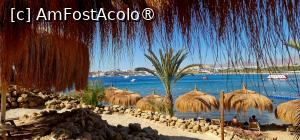 [P20]  -- <small>// FĂRĂ DESCRIERE</small> » foto by CHRISTIANA05
 - 
<span class="allrVoted glyphicon glyphicon-heart hidden" id="av1450068"></span>
<a class="m-l-10 hidden" id="sv1450068" onclick="voting_Foto_DelVot(,1450068,28746)" role="button">șterge vot <span class="glyphicon glyphicon-remove"></span></a>
<a id="v91450068" class=" c-red"  onclick="voting_Foto_SetVot(1450068)" role="button"><span class="glyphicon glyphicon-heart-empty"></span> <b>LIKE</b> = Votează poza</a> <img class="hidden"  id="f1450068W9" src="/imagini/loader.gif" border="0" /><span class="AjErrMes hidden" id="e1450068ErM"></span>