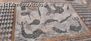 [P55] Volubilis, Casa lui Orfeu, „Mozaicul cu delfini și alte creaturi marine”, mozaic alb-negru » foto by mprofeanu
 - 
<span class="allrVoted glyphicon glyphicon-heart hidden" id="av1468629"></span>
<a class="m-l-10 hidden" id="sv1468629" onclick="voting_Foto_DelVot(,1468629,28879)" role="button">șterge vot <span class="glyphicon glyphicon-remove"></span></a>
<a id="v91468629" class=" c-red"  onclick="voting_Foto_SetVot(1468629)" role="button"><span class="glyphicon glyphicon-heart-empty"></span> <b>LIKE</b> = Votează poza</a> <img class="hidden"  id="f1468629W9" src="/imagini/loader.gif" border="0" /><span class="AjErrMes hidden" id="e1468629ErM"></span>