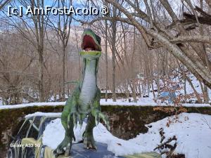 [P73] DexiWorld Park Mălaia - Velociraptor » foto by nicole33
 - 
<span class="allrVoted glyphicon glyphicon-heart hidden" id="av1470076"></span>
<a class="m-l-10 hidden" id="sv1470076" onclick="voting_Foto_DelVot(,1470076,28895)" role="button">șterge vot <span class="glyphicon glyphicon-remove"></span></a>
<a id="v91470076" class=" c-red"  onclick="voting_Foto_SetVot(1470076)" role="button"><span class="glyphicon glyphicon-heart-empty"></span> <b>LIKE</b> = Votează poza</a> <img class="hidden"  id="f1470076W9" src="/imagini/loader.gif" border="0" /><span class="AjErrMes hidden" id="e1470076ErM"></span>