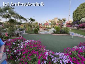 [P65] Miracle Garden Dubai » foto by AZE
 - 
<span class="allrVoted glyphicon glyphicon-heart hidden" id="av1484580"></span>
<a class="m-l-10 hidden" id="sv1484580" onclick="voting_Foto_DelVot(,1484580,28974)" role="button">șterge vot <span class="glyphicon glyphicon-remove"></span></a>
<a id="v91484580" class=" c-red"  onclick="voting_Foto_SetVot(1484580)" role="button"><span class="glyphicon glyphicon-heart-empty"></span> <b>LIKE</b> = Votează poza</a> <img class="hidden"  id="f1484580W9" src="/imagini/loader.gif" border="0" /><span class="AjErrMes hidden" id="e1484580ErM"></span>