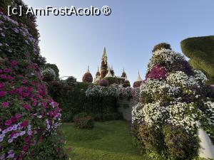 [P75] Miracle Garden Dubai » foto by AZE
 - 
<span class="allrVoted glyphicon glyphicon-heart hidden" id="av1484590"></span>
<a class="m-l-10 hidden" id="sv1484590" onclick="voting_Foto_DelVot(,1484590,28974)" role="button">șterge vot <span class="glyphicon glyphicon-remove"></span></a>
<a id="v91484590" class=" c-red"  onclick="voting_Foto_SetVot(1484590)" role="button"><span class="glyphicon glyphicon-heart-empty"></span> <b>LIKE</b> = Votează poza</a> <img class="hidden"  id="f1484590W9" src="/imagini/loader.gif" border="0" /><span class="AjErrMes hidden" id="e1484590ErM"></span>