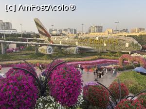 [P77] Miracle Garden Dubai » foto by AZE
 - 
<span class="allrVoted glyphicon glyphicon-heart hidden" id="av1484592"></span>
<a class="m-l-10 hidden" id="sv1484592" onclick="voting_Foto_DelVot(,1484592,28974)" role="button">șterge vot <span class="glyphicon glyphicon-remove"></span></a>
<a id="v91484592" class=" c-red"  onclick="voting_Foto_SetVot(1484592)" role="button"><span class="glyphicon glyphicon-heart-empty"></span> <b>LIKE</b> = Votează poza</a> <img class="hidden"  id="f1484592W9" src="/imagini/loader.gif" border="0" /><span class="AjErrMes hidden" id="e1484592ErM"></span>
