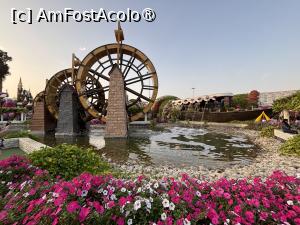 [P80] Miracle Garden Dubai » foto by AZE
 - 
<span class="allrVoted glyphicon glyphicon-heart hidden" id="av1484595"></span>
<a class="m-l-10 hidden" id="sv1484595" onclick="voting_Foto_DelVot(,1484595,28974)" role="button">șterge vot <span class="glyphicon glyphicon-remove"></span></a>
<a id="v91484595" class=" c-red"  onclick="voting_Foto_SetVot(1484595)" role="button"><span class="glyphicon glyphicon-heart-empty"></span> <b>LIKE</b> = Votează poza</a> <img class="hidden"  id="f1484595W9" src="/imagini/loader.gif" border="0" /><span class="AjErrMes hidden" id="e1484595ErM"></span>