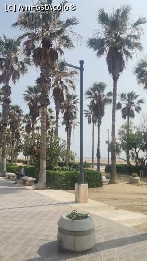 [P10] Promenada de langa plaja » foto by dorgo
 - 
<span class="allrVoted glyphicon glyphicon-heart hidden" id="av1504497"></span>
<a class="m-l-10 hidden" id="sv1504497" onclick="voting_Foto_DelVot(,1504497,29017)" role="button">șterge vot <span class="glyphicon glyphicon-remove"></span></a>
<a id="v91504497" class=" c-red"  onclick="voting_Foto_SetVot(1504497)" role="button"><span class="glyphicon glyphicon-heart-empty"></span> <b>LIKE</b> = Votează poza</a> <img class="hidden"  id="f1504497W9" src="/imagini/loader.gif" border="0" /><span class="AjErrMes hidden" id="e1504497ErM"></span>