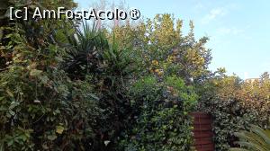 [P06] Lamaiul din curte » foto by adighh
 - 
<span class="allrVoted glyphicon glyphicon-heart hidden" id="av1520819"></span>
<a class="m-l-10 hidden" id="sv1520819" onclick="voting_Foto_DelVot(,1520819,29041)" role="button">șterge vot <span class="glyphicon glyphicon-remove"></span></a>
<a id="v91520819" class=" c-red"  onclick="voting_Foto_SetVot(1520819)" role="button"><span class="glyphicon glyphicon-heart-empty"></span> <b>LIKE</b> = Votează poza</a> <img class="hidden"  id="f1520819W9" src="/imagini/loader.gif" border="0" /><span class="AjErrMes hidden" id="e1520819ErM"></span>